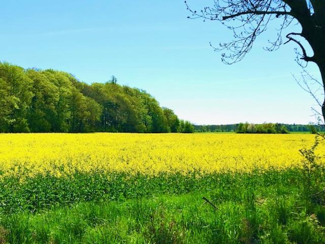Ferienhaus Neumann - Ein Ganzes Haus Fuer Ihren Urlaub! Hessenburg Екстер'єр фото